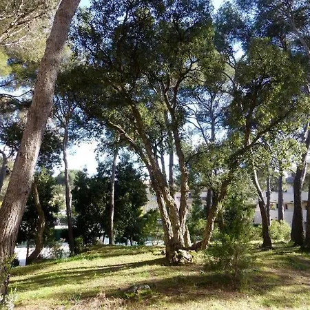 Lejlighed Hameau Des Pins - Plage & Piscine - Clim & Wifi Saint-Raphaël